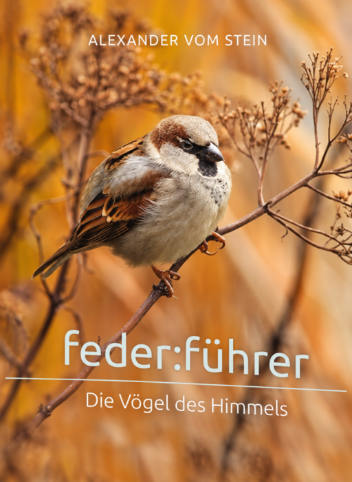 federführer